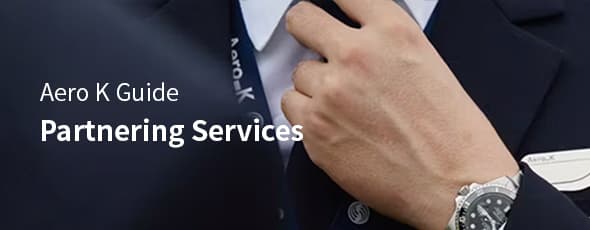 partnering-services